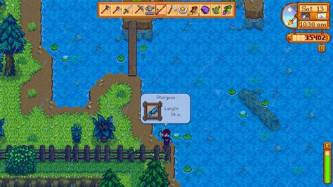 stardew sturgeon|stardew valley mountain lake sturgeon.